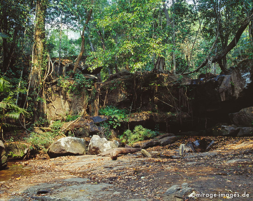 Dschungel im Flussbett der 1000 Lingas
Kulen Mountains Siem Reap
Schlüsselwörter: SÃ¼dost Asien, Morgenland, Tropen, Armut, Fernreise, Reise, Kultur, Tourismus, Khmer,