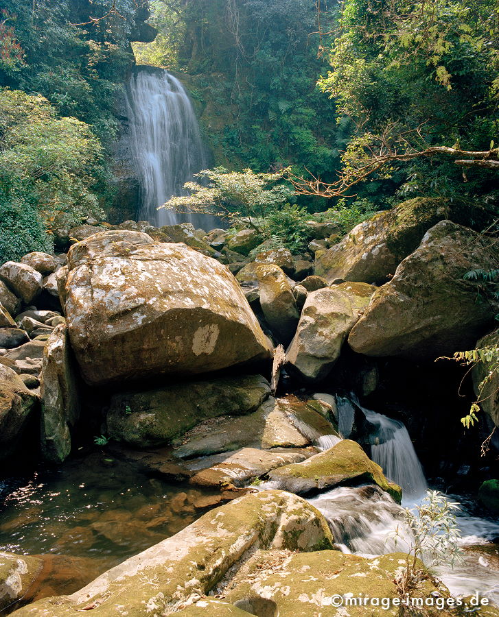 Near Nam Kat Waterfall
Oudomxay
Schlüsselwörter: Wasserfall, Dschungel, Tropen, Wasser, Fluss, Ruhe, Wasser, Natur, üppig, ursprünglich, unberührt, grün, Landschaft, Steine, Felsen, Vegetation, Südost Asien, Reise, Pflanzen, klar, rein, grün, Urwald, Einsamkeit, archaisch, Ökologie, fliessen,