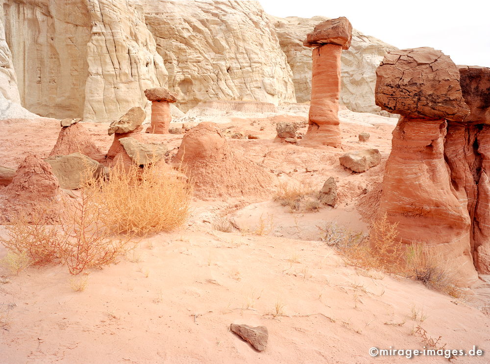 Hoodoos
Grand Staircase Escalante National Monument
