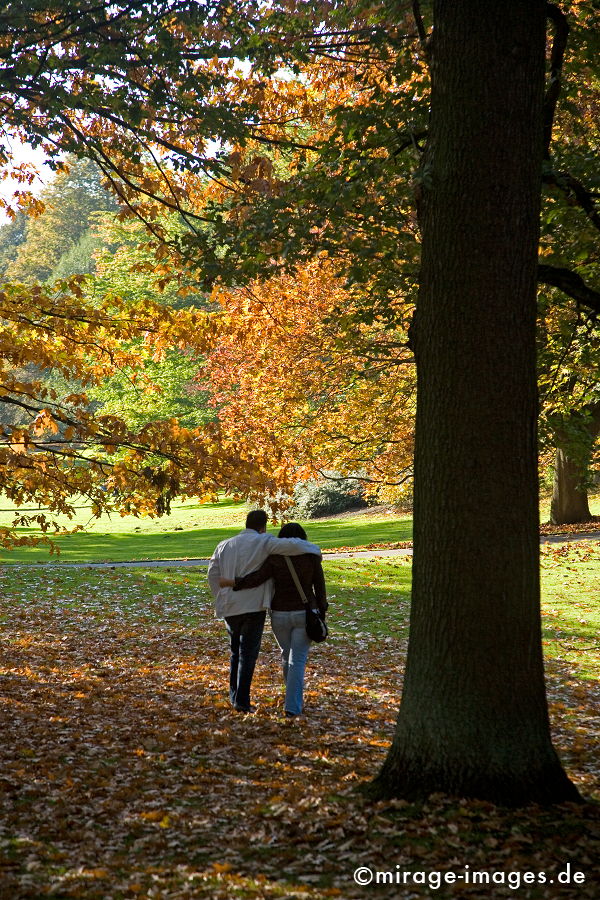 Spaziergang
Rombergpark Dortmund
Schlüsselwörter: love1, Herbst, Wald, verwelkt, BlÃ¤tter,