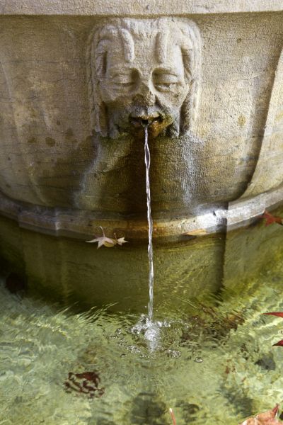 Gargoyle
Lausanne
Schlüsselwörter: Brunnen, Wasser, Wasserspeier, romantisch, friedlich, flieÃŸen, plÃ¤tschern, beruhigend, Meditation, meditativ, Gesicht, klar, rein, sauber, Lebensspender, 