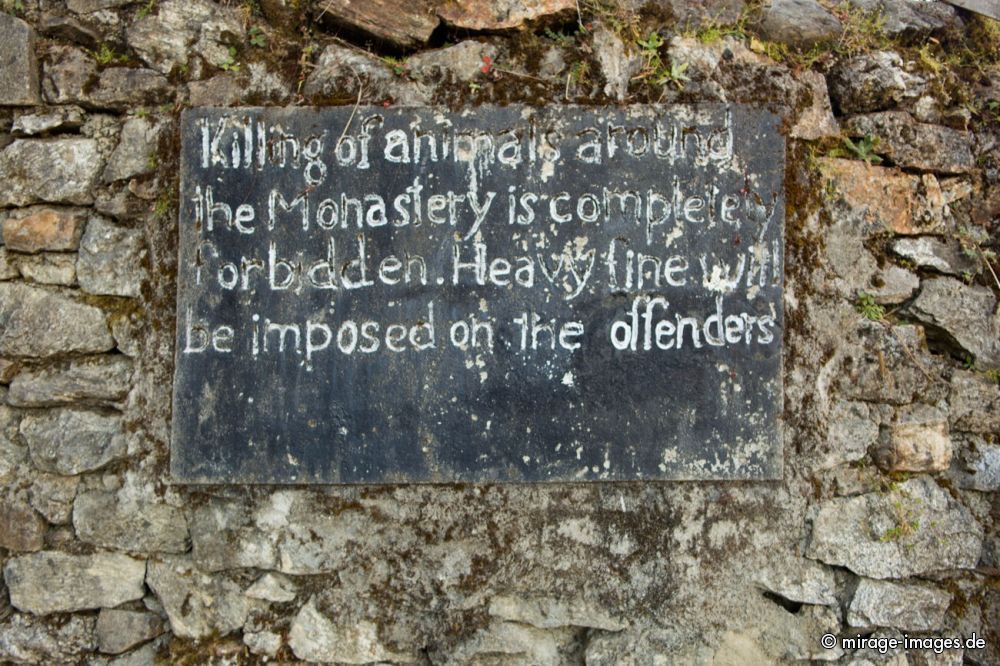 No animal may be killed!
Tawang Monastery
