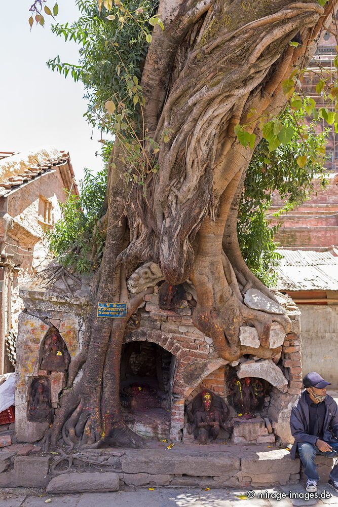 Hinduistic Shrine
Durbar Square
