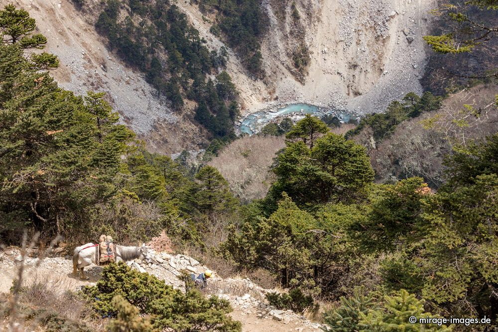 Wild River - Dudh Koshi
Khumjung - Gokyo Ri Trekking Trail
