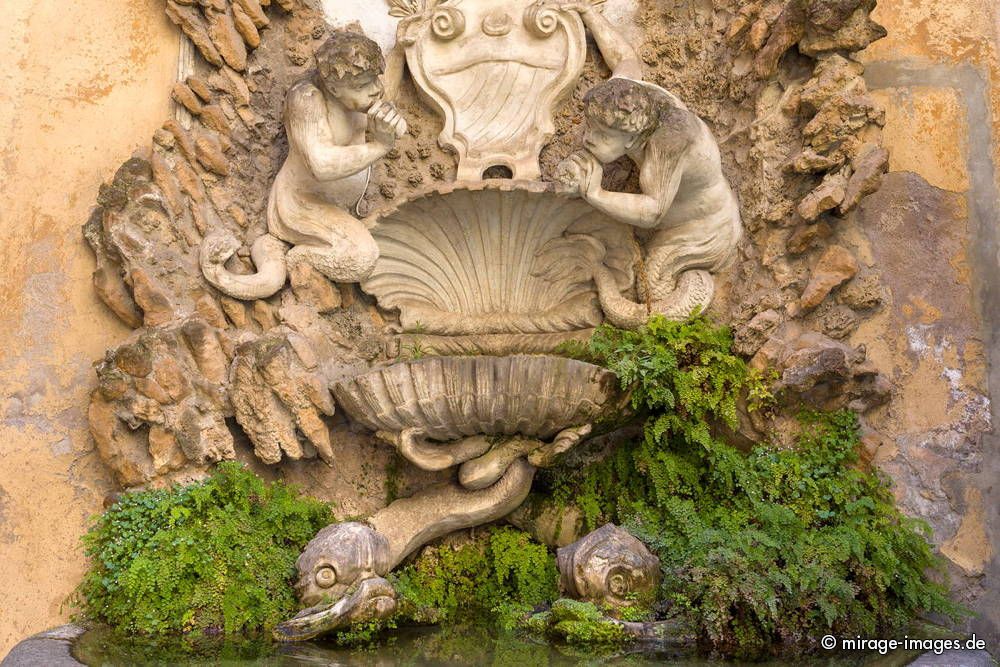 Fountain in a Backyard
Roma
