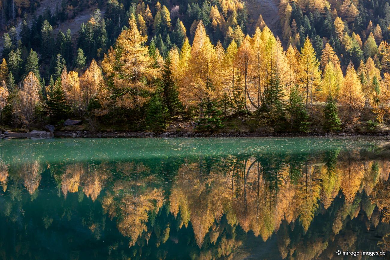 autumn at lac de Derborence 
Derborence
Schlüsselwörter: autumn1