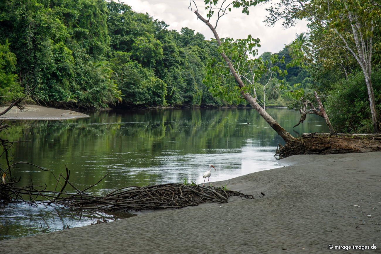 Rio Sirena
Parque Nacional Corcovado
