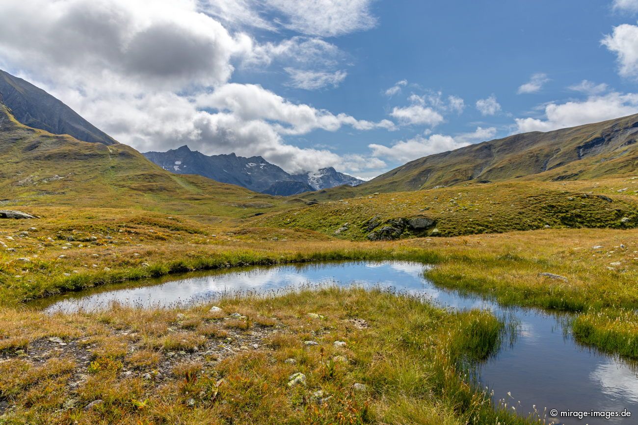 Wetlands
Greina Plateau
